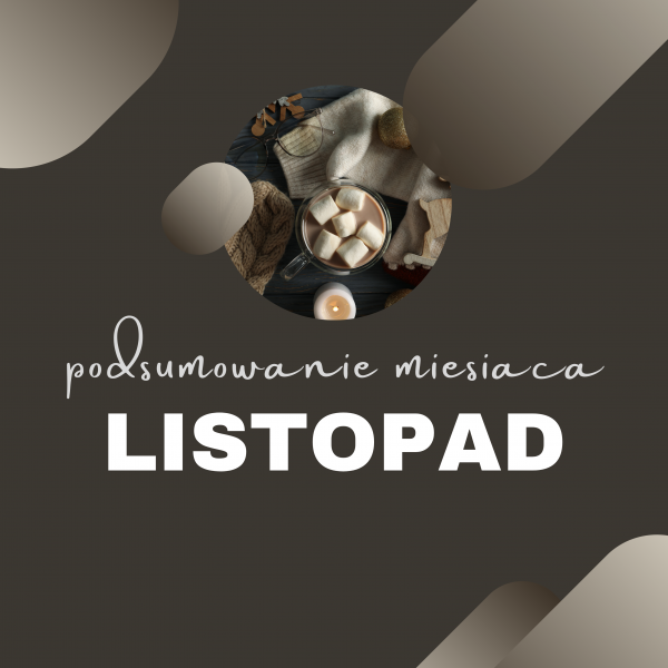Podsumowanie miesiąca - listopad
